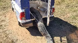 A crocodile was terrorizing this Australian town. So residents cooked and ate it | CNN