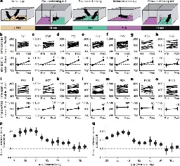 Oxytocin-dependent reopening of a social reward learning critical period with MDMA - Nature