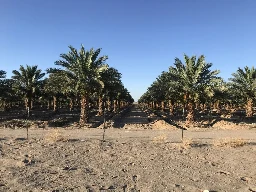 Drought Is Hitting Black Farmers Hard