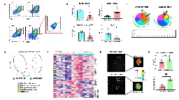 Study offers potential for early diagnosis and therapeutic intervention for rheumatoid arthritis