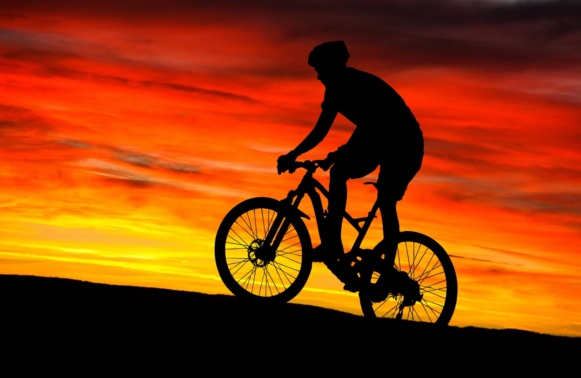 A History of Bicycle Helmets and a Study of Bicycle Helmet use in Minnesota