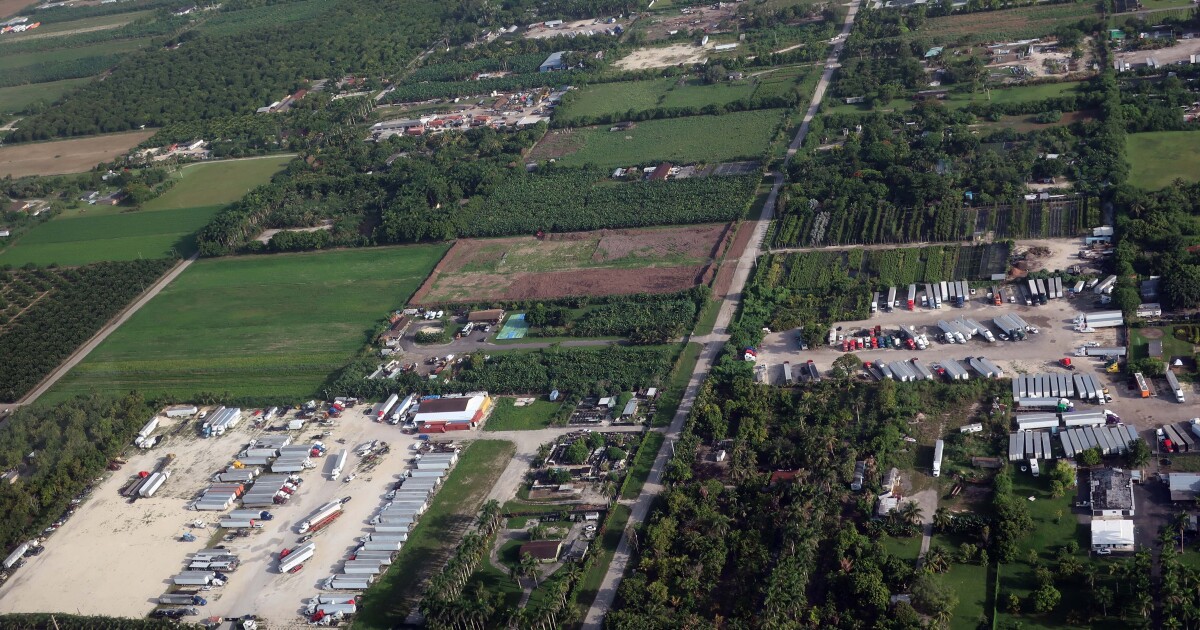 Farmers fear rare agricultural land in South Dade will be turned into parking lots