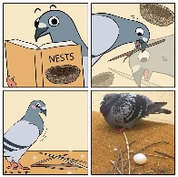 Fucking pigeons