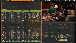 [DWM] Nothing better than arch linux and some big bang theory