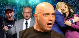 ‘The intellectual dark web just won the election!’: meet the coalition of Joe Rogan, RFK Jr, Tulsi Gabbard and Elon Musk