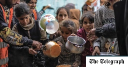 Agencies warn of ‘apocalyptic’ situation in southern Gaza as half of population go hungry