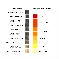 Underlying Pigment in Hair Colour