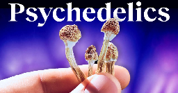 The ultimate psychedelics explainer