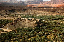 4,000-year-old town discovered hidden in Arabian oasis