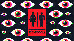 Florida’s Anti-Trans Bathroom Law Spurs Harrowing Vigilante Attacks