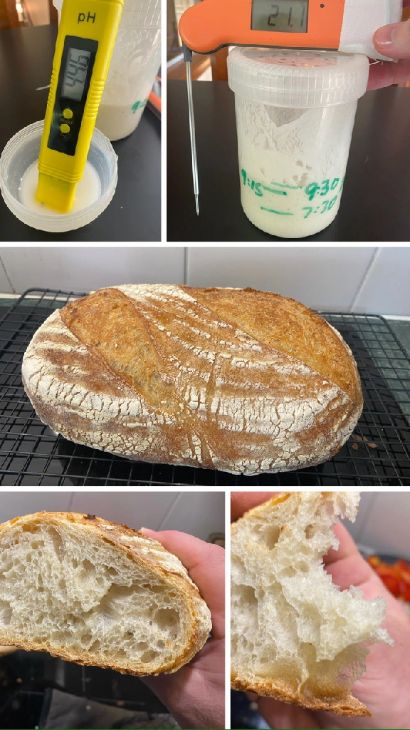 experiments in sourdough