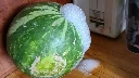 Toxic 'foaming' watermelons are showing up in Maine