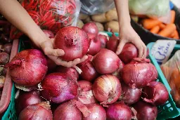 Ombudsman suspends gov't officials over 'anomalous' onion deal. Here's why.