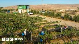 Malawians who abandoned Israeli farms deported