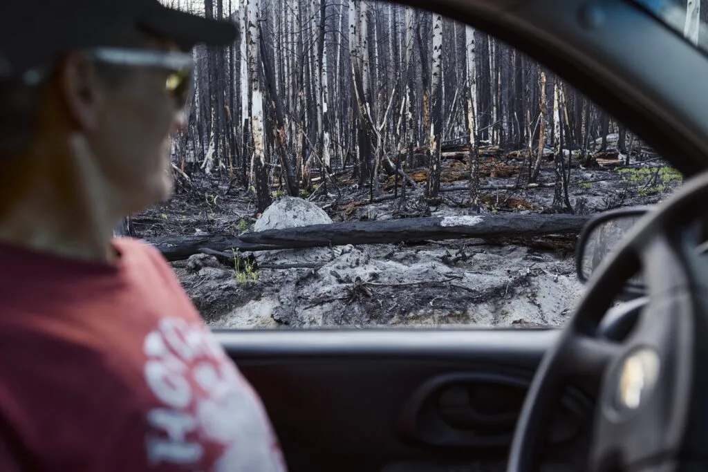 Salvage logging after B.C. wildfires: a lucrative industry, explained | The Narwhal