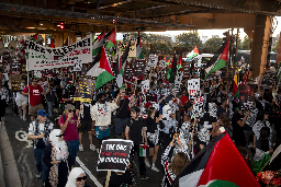 Jill Stein, Wes Moore speak before thousands of pro-Palestinian protesters march to the Democratic National Convention