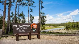 Woman gored by Bison at Yellowstone