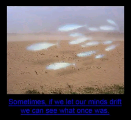 the background blur