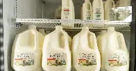 Cats in L.A. County die after drinking recalled raw milk.