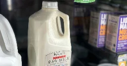 Salmonella Sickened 171, the Biggest Outbreak From Raw Milk in Years