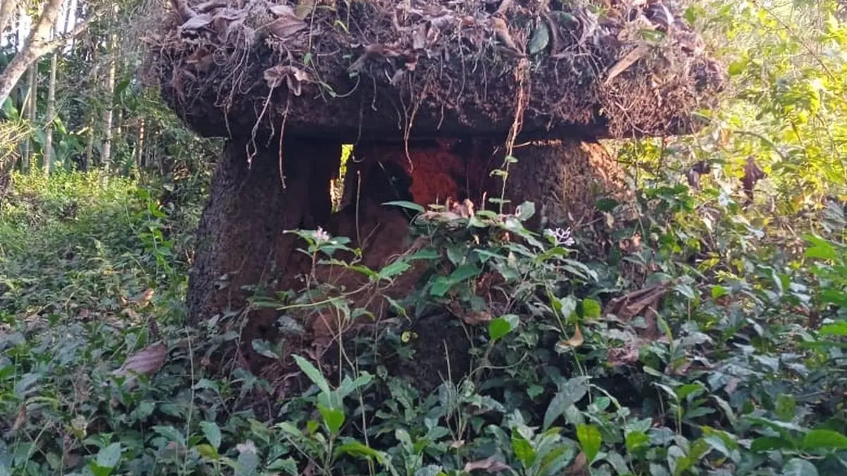 A family initiative to conserve megalithic history