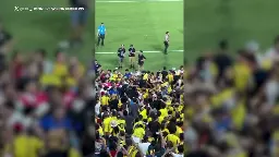 Uruguay teammates enter stands as fans fight after Copa America loss to Colombia