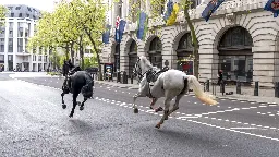 Military horses run loose in central London, injuring 4 people and causing havoc