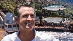 Gavin Newsom dismantles dams to protect salmon, destroys their spawning beds in the process