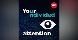 Talking With Animals… Using AI | Your Undivided Attention | Podplay