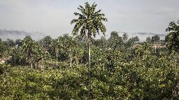 Liberia to concede territory to UAE firm in carbon offset deal