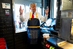 McDonald’s workers roast Trump over ‘insulting cosplay’ fry cook stunt