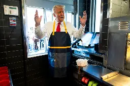 McDonald’s workers roast Trump over ‘insulting cosplay’ fry cook stunt