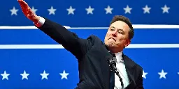 Journalist calls out people for being 'fine' with Elon Musk's Nazi salute but not pronouns