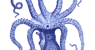 blue octopus