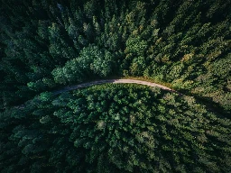 Wie schaut die deutsche Gesellschaft derzeit auf die Klimabewegung?