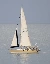 sailing