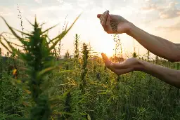 New Jersey Senate Committee Approves Hemp Regulation Bill Amid Cannabis Industry Growth