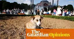 Erdoğan’s plan to cull Turkey’s street dogs will destroy far more than just animals | Alexander Christie-Miller