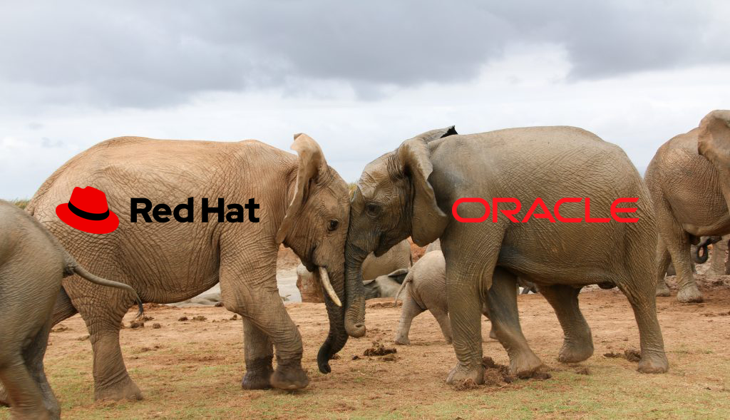 Oracle, SUSE Tussle with Red Hat over the Business of Open Source