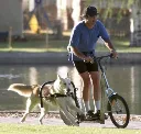 Dog Powered Scooter