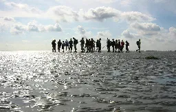 Mudflat hiking - Wikipedia