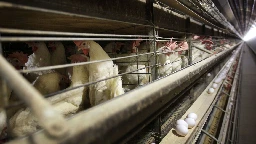 As egg prices soar, Trump administration plans new strategy to fight bird flu