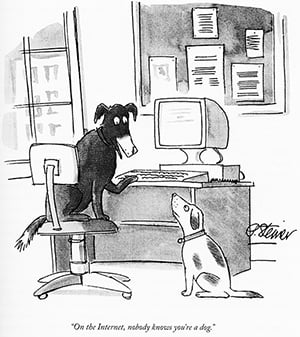 A drawing of two dogs and a computer desk with text. One dog is on the computer chair with it's paw on the keyboard. The dogs are looking at each other. The caption reads "On the Internet, nobody knows you're a dog". looking