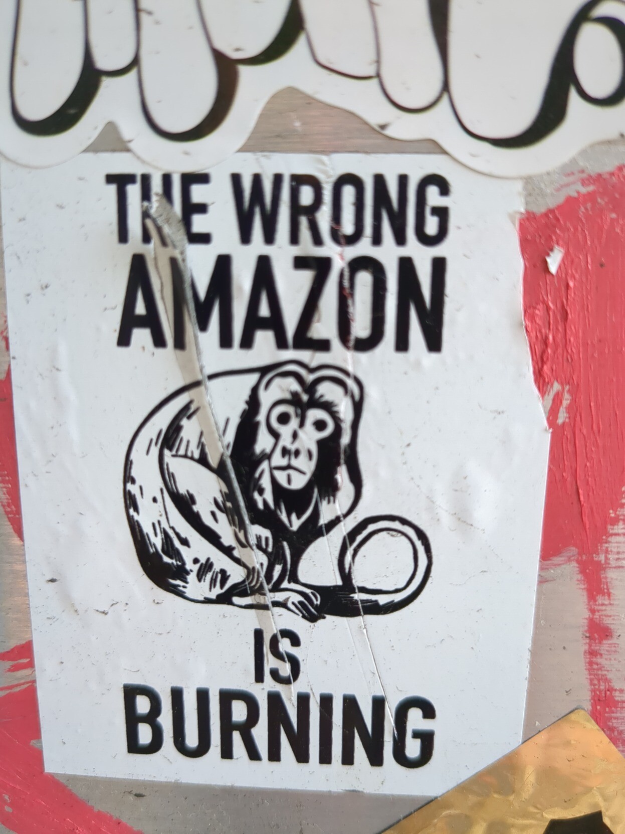 The Wrong Amazon is Burning