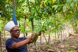 How seed networks across Brazil are helping to restore biomes