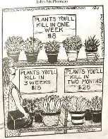 plant prices