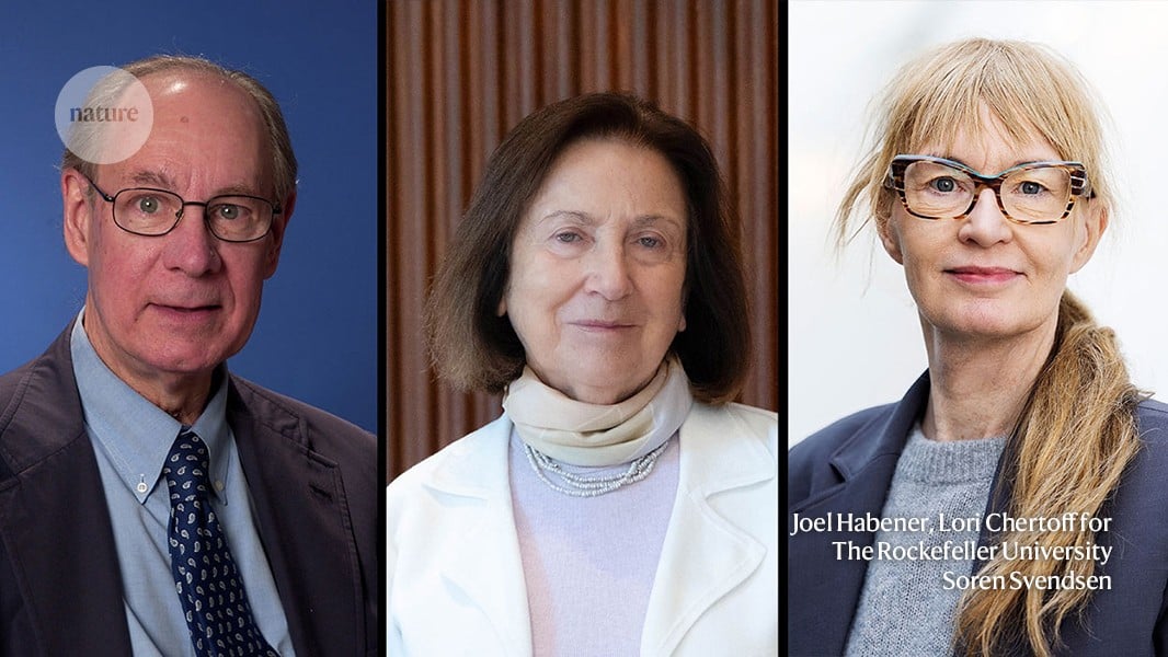 Obesity-drug pioneers win prestigious Lasker Award for medical science