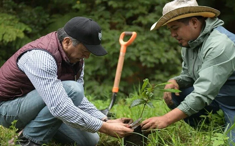 Mexico could redirect military budget for reforestation as environmental agencies face cuts