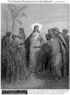 The Disciples Plucking Corn on the Sabbath