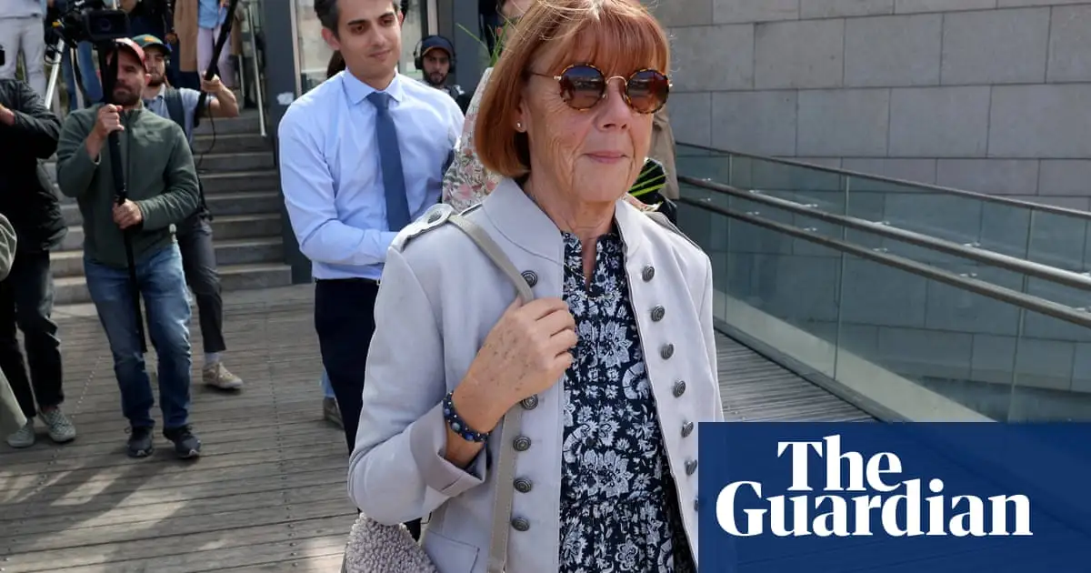 ‘I am part of this nightmare’: man admits guilt in Gisèle Pelicot rape trial